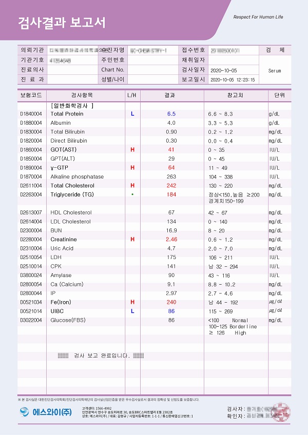 보고서 샘플 02