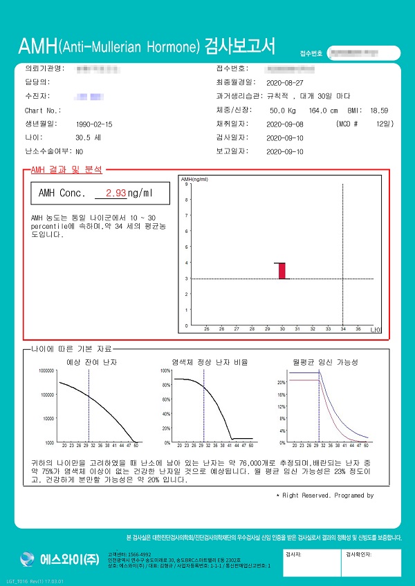 보고서 샘플 09
